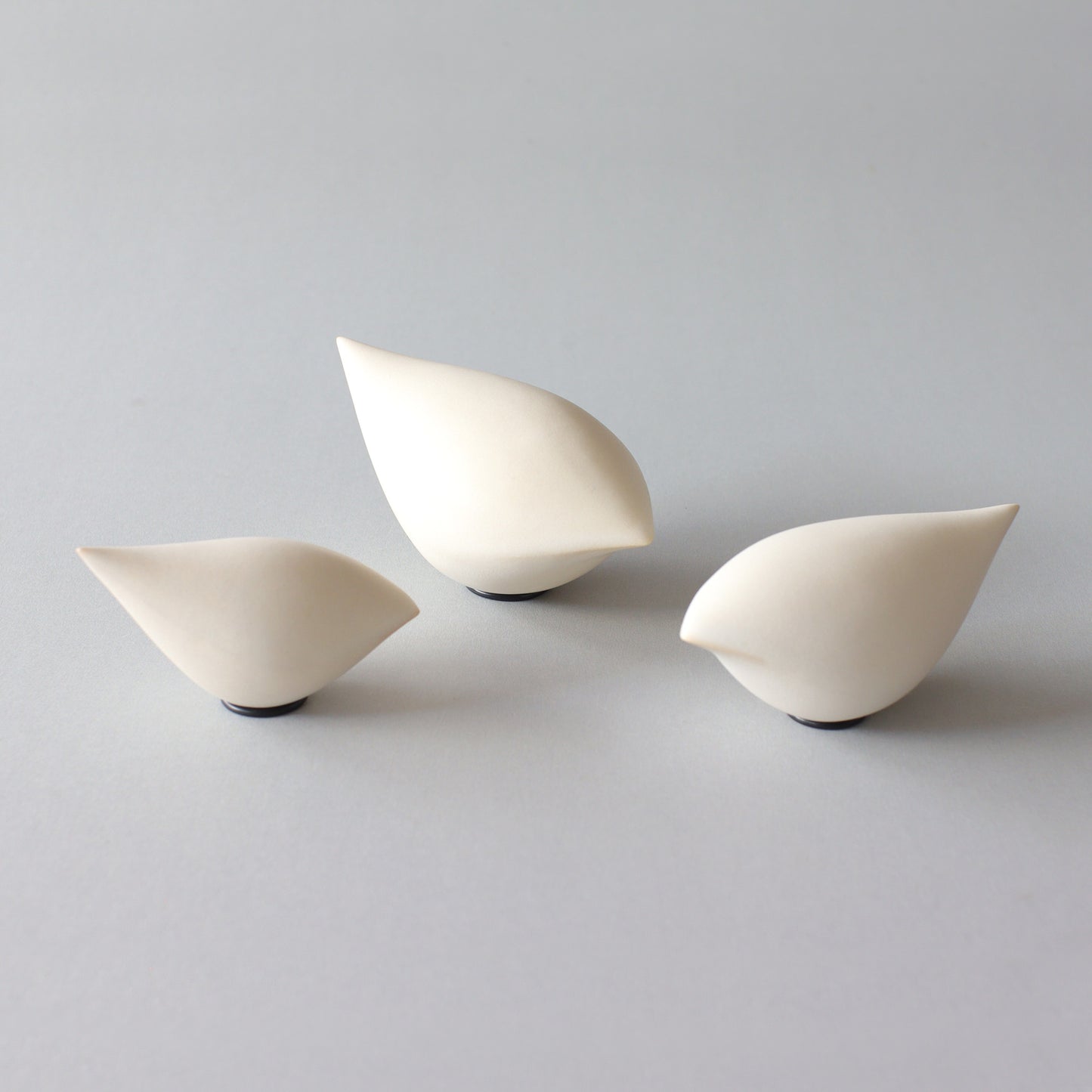 OVAL BIRD MATTE / ホワイトマット