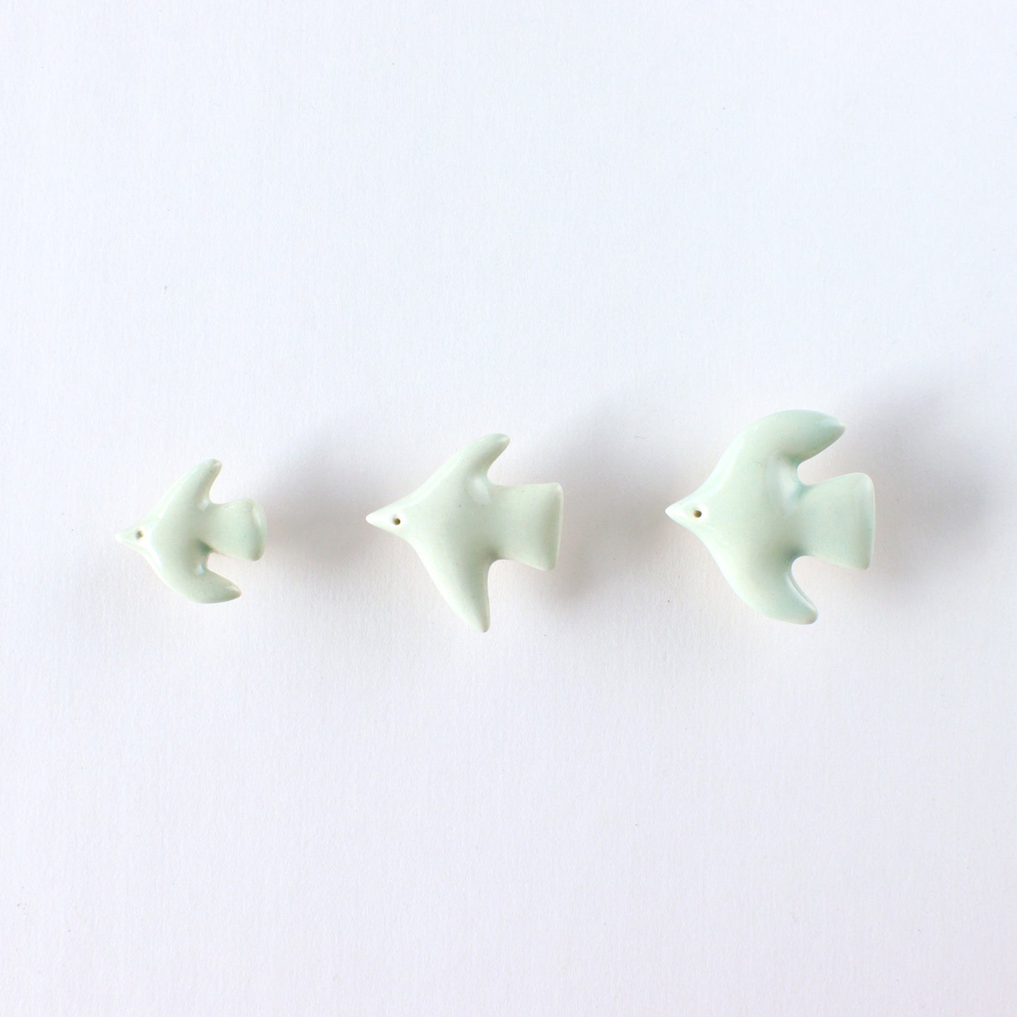 BIRDS OF HOPE