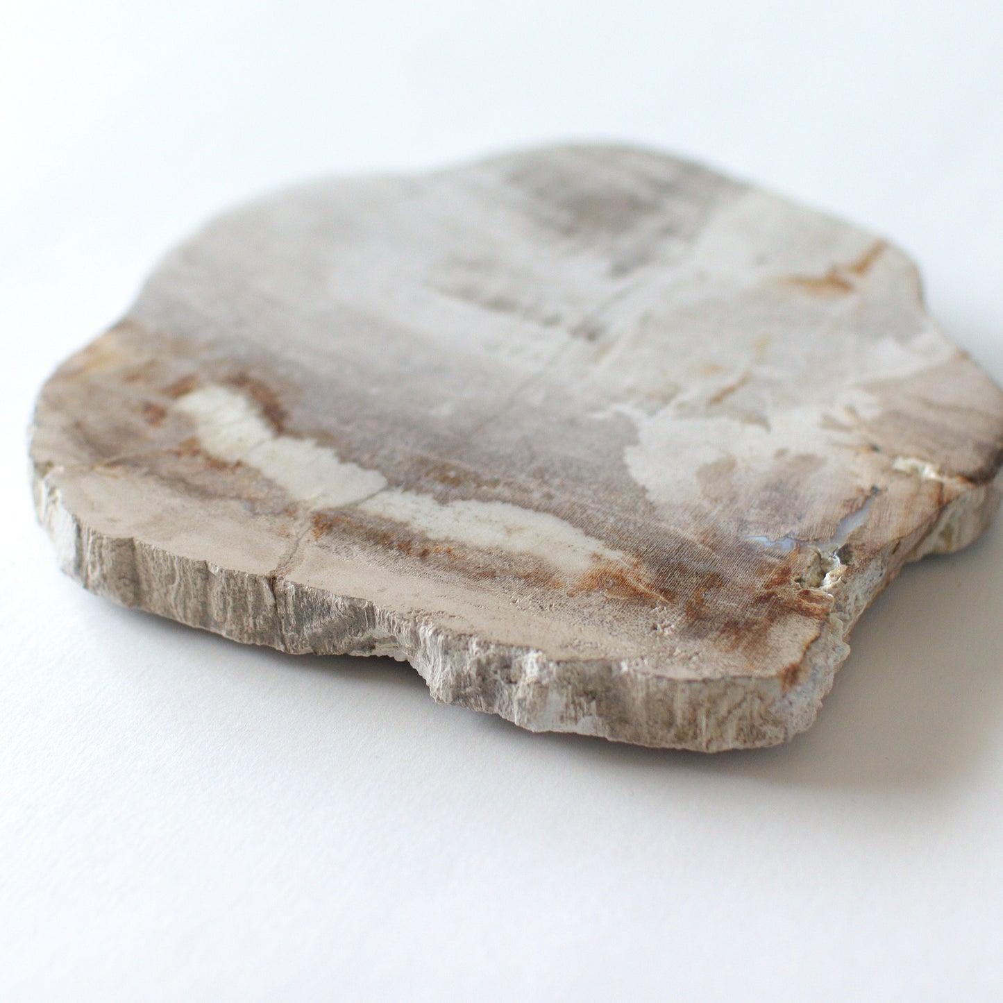 WOOD COASTER