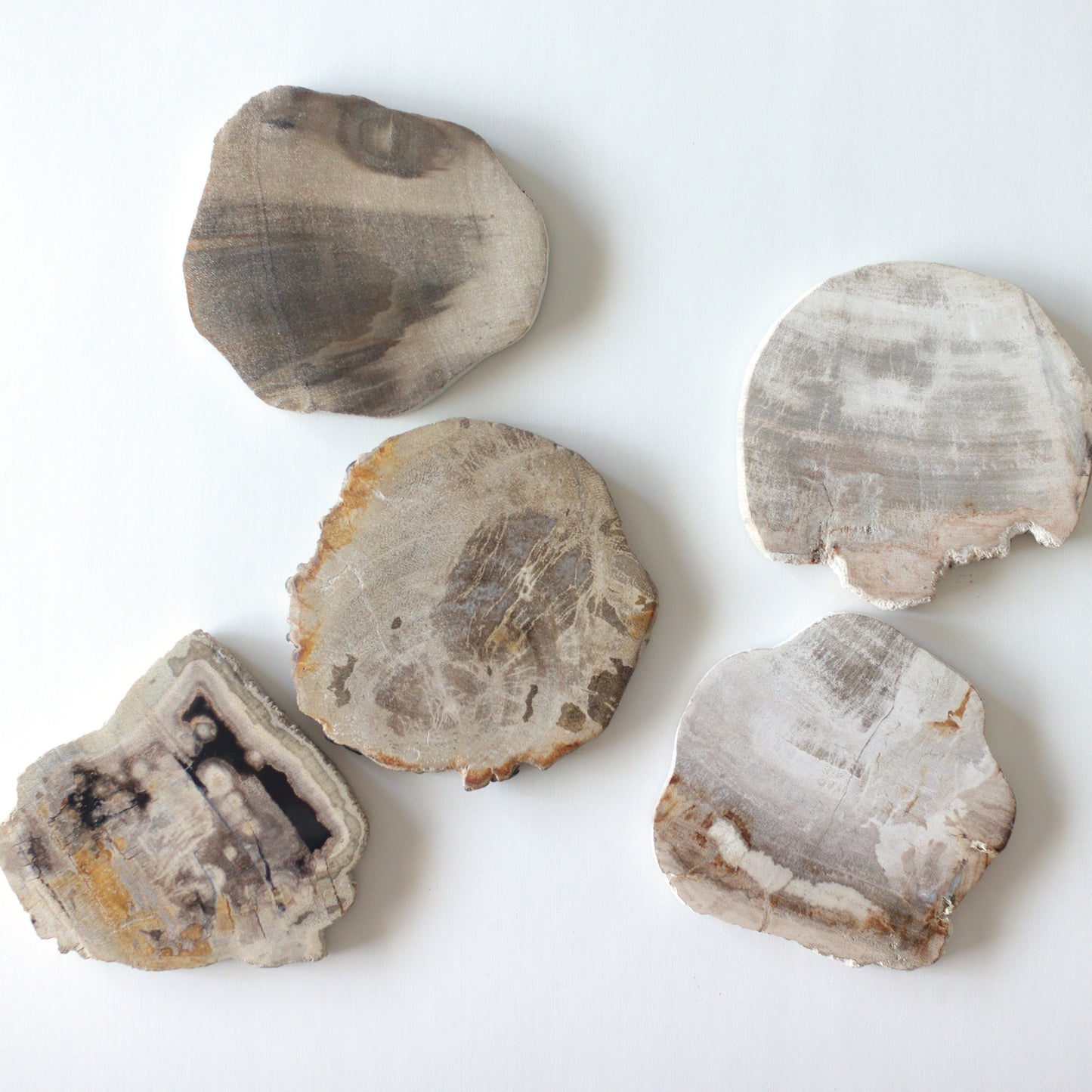 WOOD COASTER