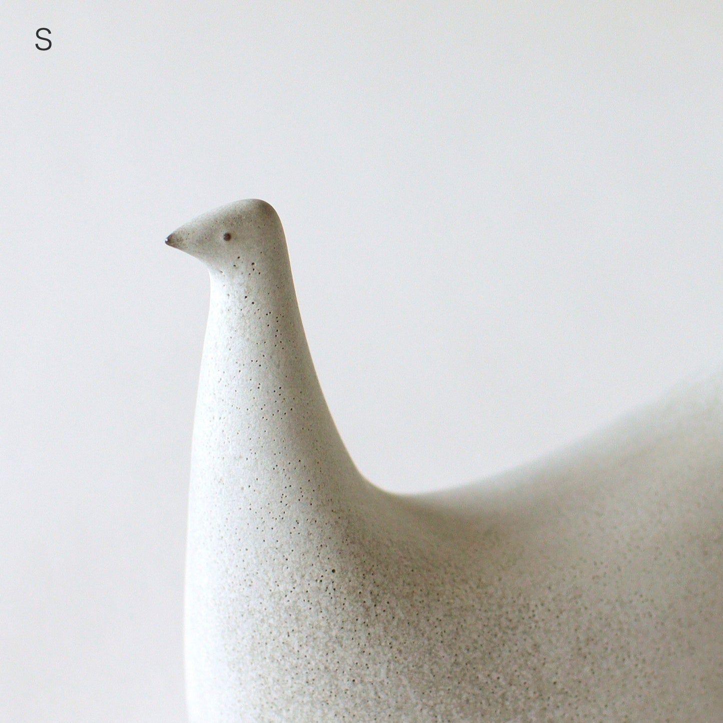 PEACOCK / グレー