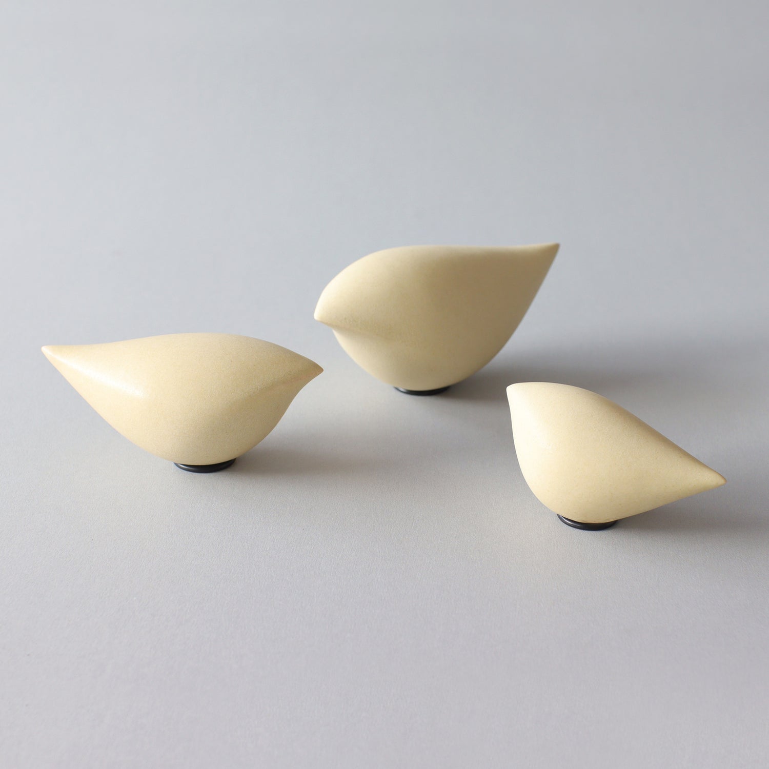 - OVAL BIRD -