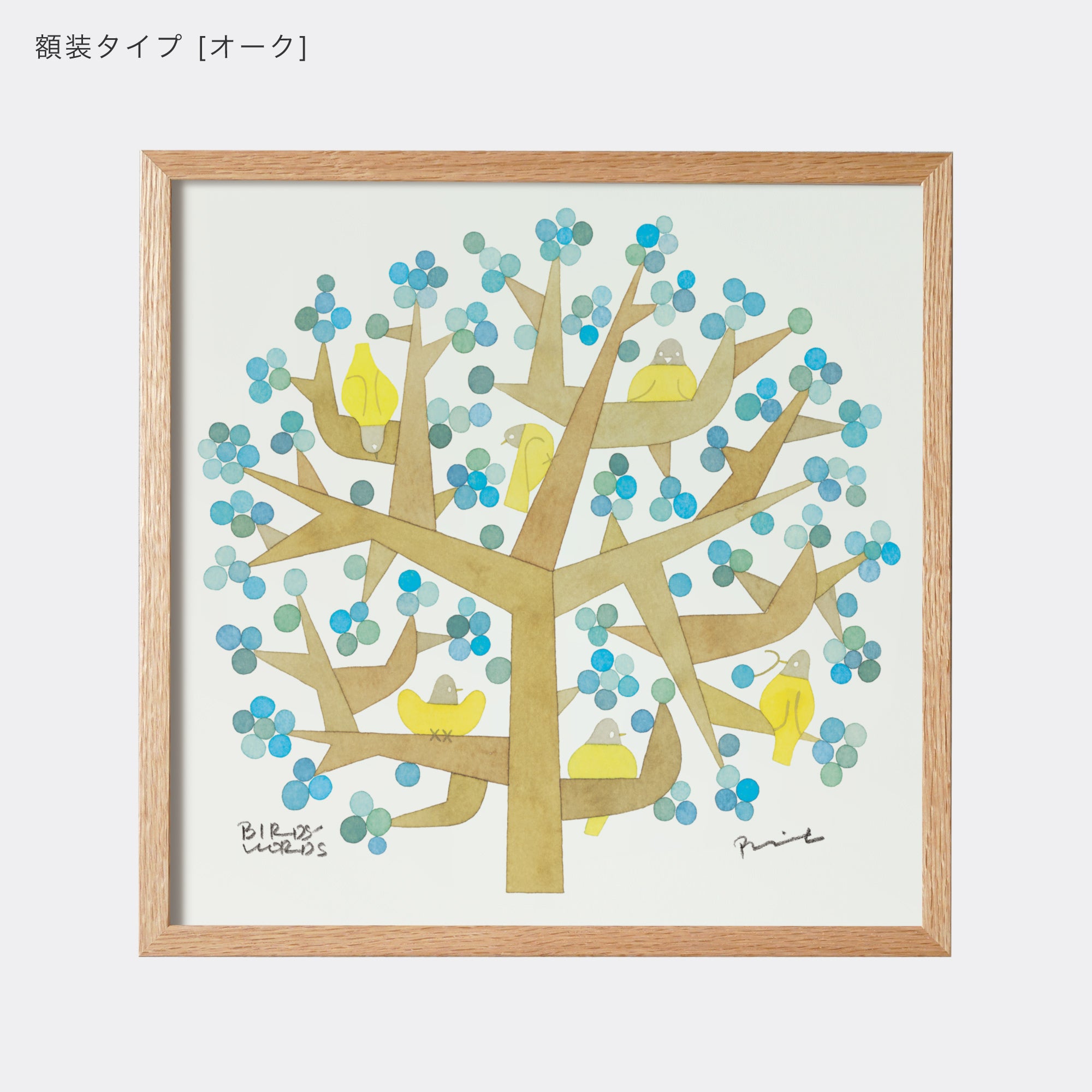 サントリー ポスター3枚セット アホウドリ イヌワシ 日本の県鳥 骨董品 ポスター 30cm / TREE OF LIFE – BIRDS' WORDS