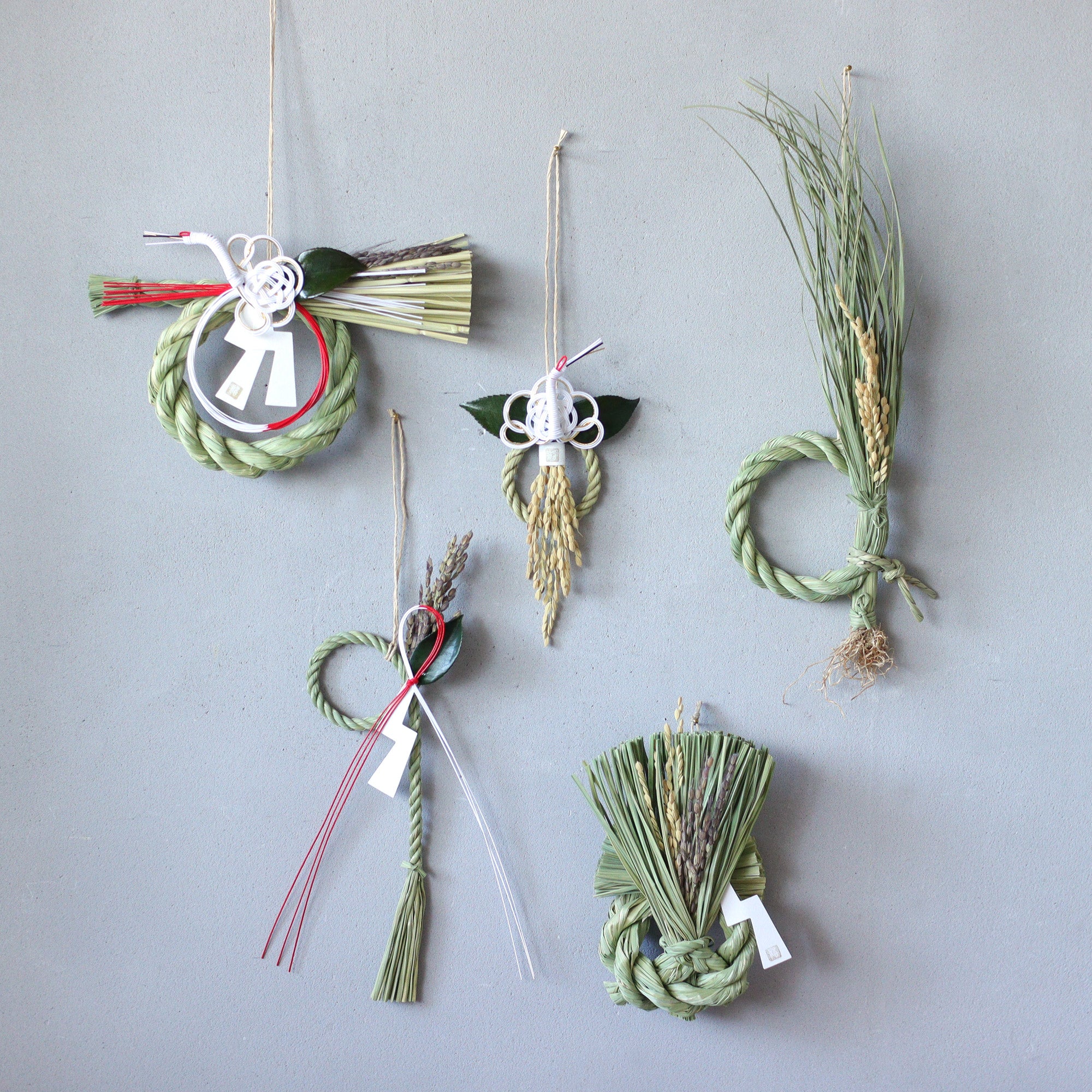 正月飾り] 神丹穂さざんか／輪飾り – BIRDS' WORDS