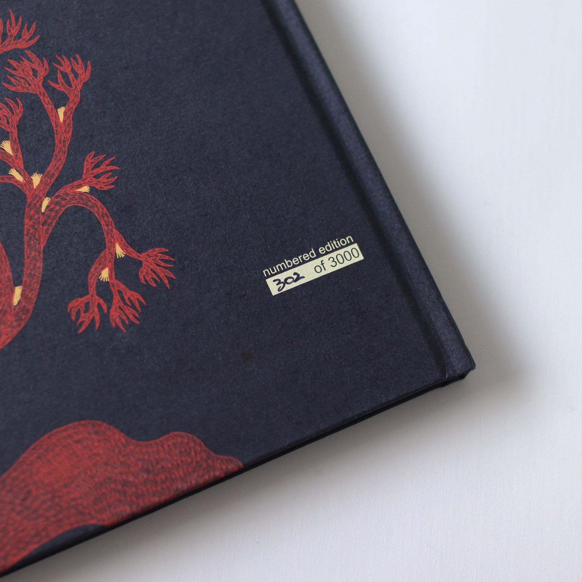 絵本] 夜の木（第11刷） – BIRDS' WORDS