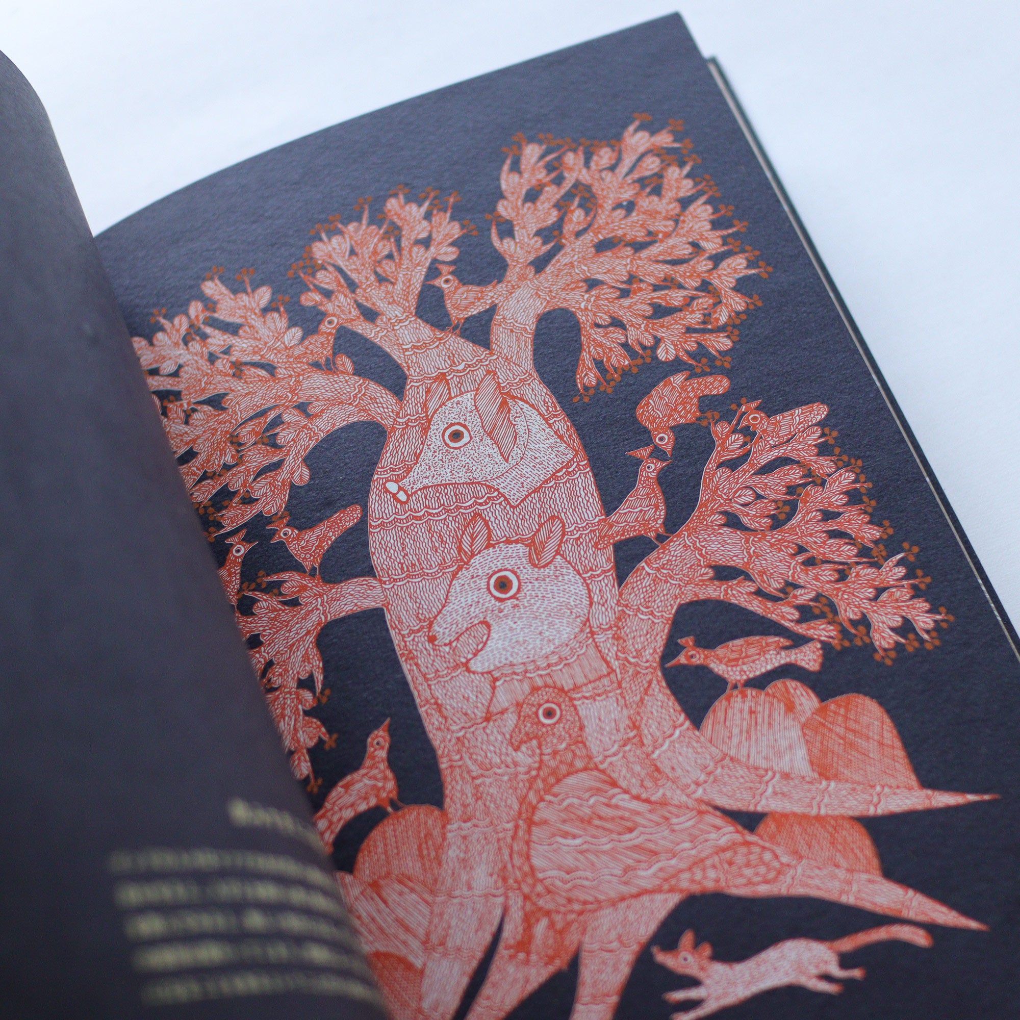 絵本] 夜の木（第11刷） – BIRDS' WORDS