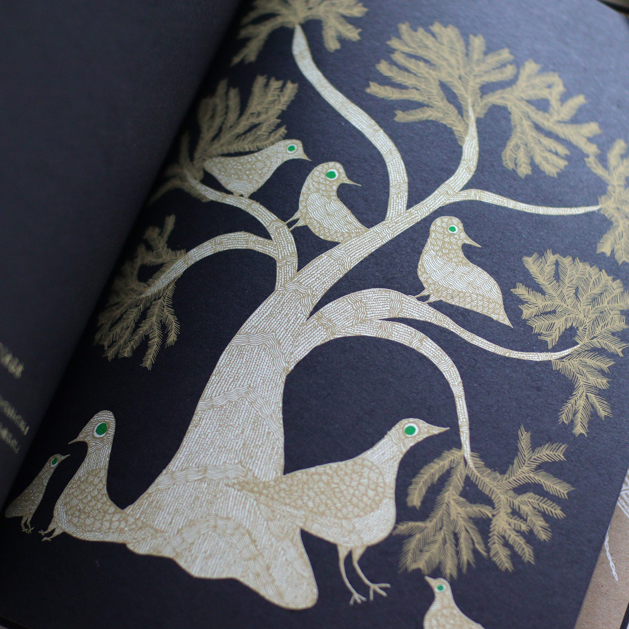 絵本] 夜の木（第11刷） – BIRDS' WORDS