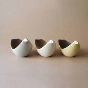 BIRD TRAY COLORS – BIRDS' WORDS